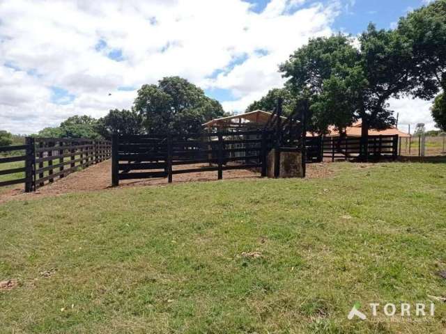 Fazenda à venda na cidade de Paranapanema/SP.