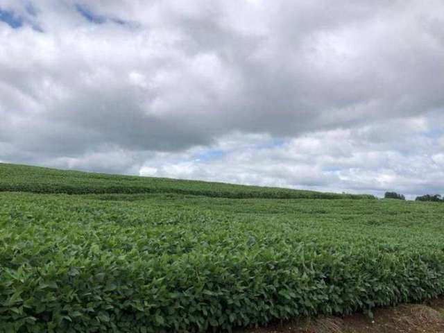 Fazenda a venda na região de Itapetininga