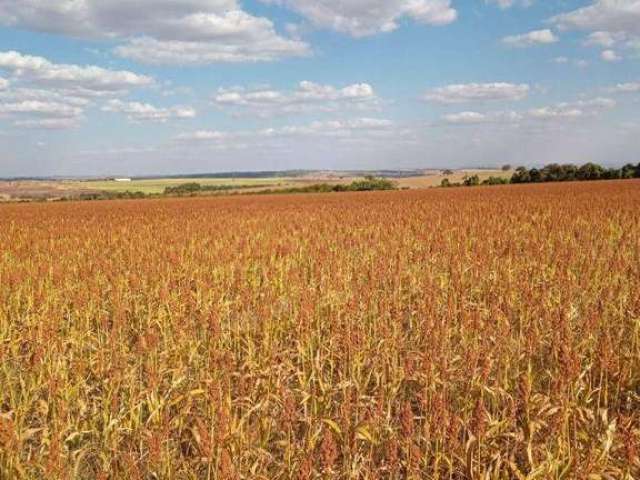 Fazenda à venda em Sacramento MG.