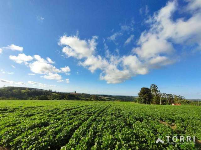 Excelente sítio a venda na região de itapetininga-sp