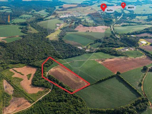 Terreno à venda, 33.880 m² por R$ 500.000 - Zona Rural - Fernandes Pinheiro/PR