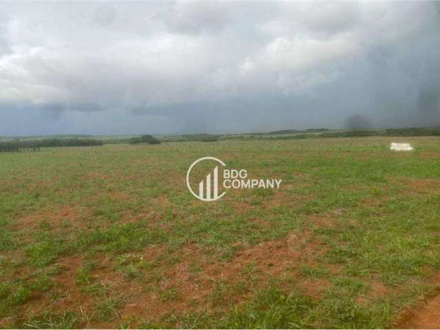 Fazenda à venda, 10700000 m² por R$ 55.000.000 - Zona Rural - Campinápolis/MT