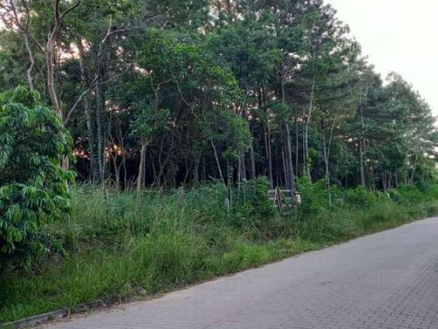 Terreno à venda na Rua Alberto Adolpho Fruchtenicht, 9, Campestre, São Leopoldo por R$ 134.000