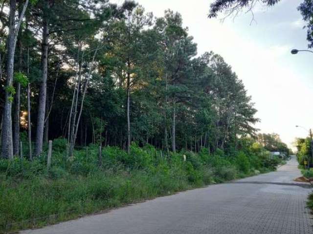 Terreno à venda na Rua Alberto Adolpho Fruchtenicht, 7, Campestre, São Leopoldo por R$ 127.000