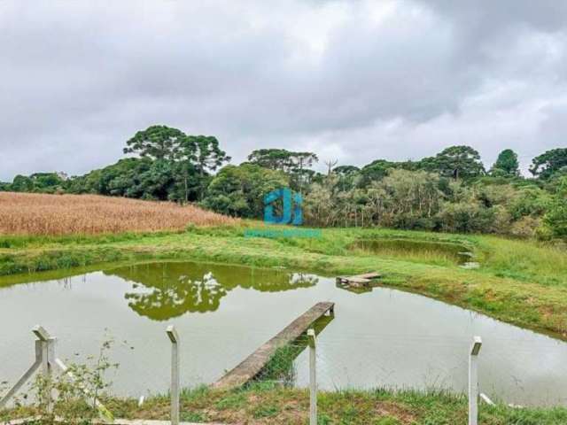 Chácara / sítio com 2 quartos à venda na Rua Vila Nova, 2100, Cachoeira, São José dos Pinhais por R$ 1.500.000