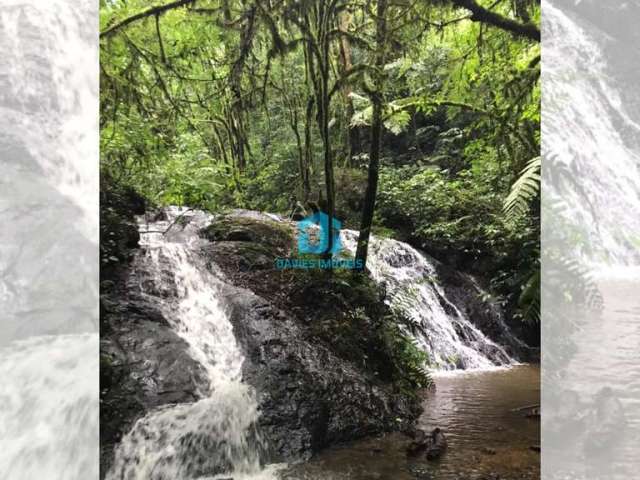 Chácara / sítio à venda na Estrada São João do Povinho, 01, Três Córregos, Campo Largo por R$ 650.000