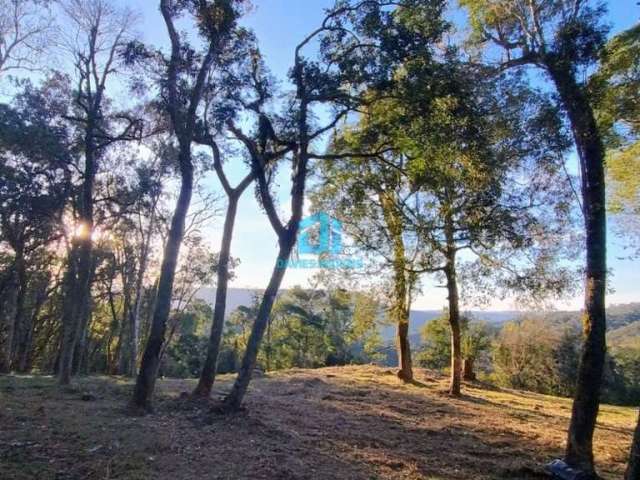 Chácara / sítio à venda na Estrada São João do Povinho, 01, Três Córregos, Campo Largo por R$ 600.000