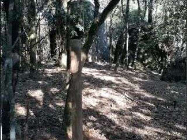 Terreno para chacara a venda em laranjeiras