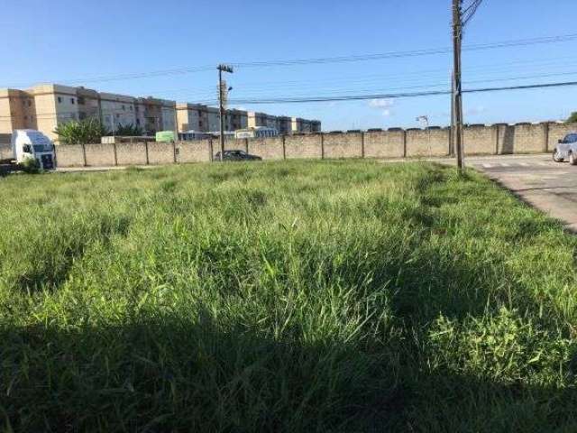 Excelente Terreno para Locação em Itajaí - SC