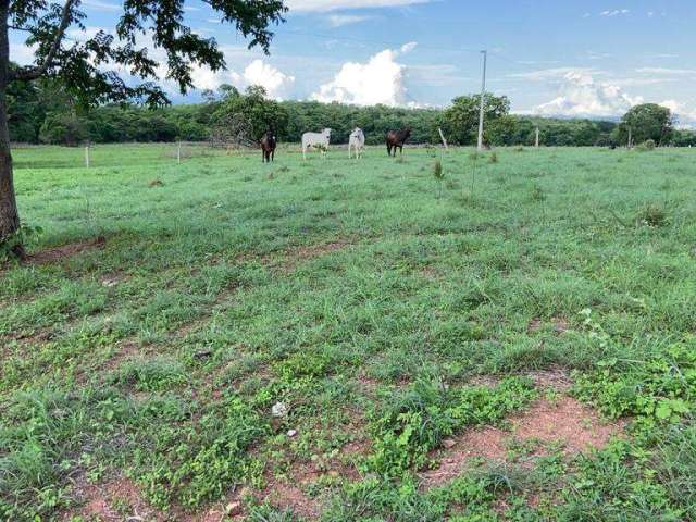 Fazenda para Venda em São Valério da Natividade, ÁREA RURAL