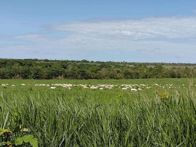 Fazenda para Venda em Guaraí, ÁREA RURAL