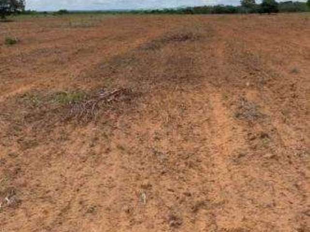 Fazenda para Venda em Santa Maria do Tocantins, ÁREA RURAL