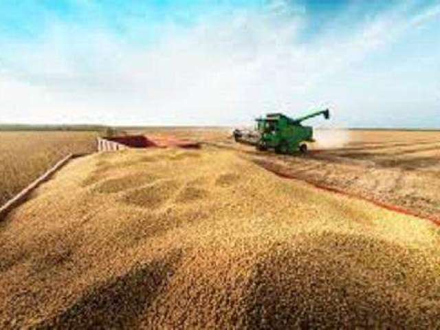 Fazenda para Venda em Palmeirante, ÁREA RURAL