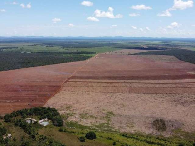 Fazenda para Venda em Peixe, ÁREA RURAL