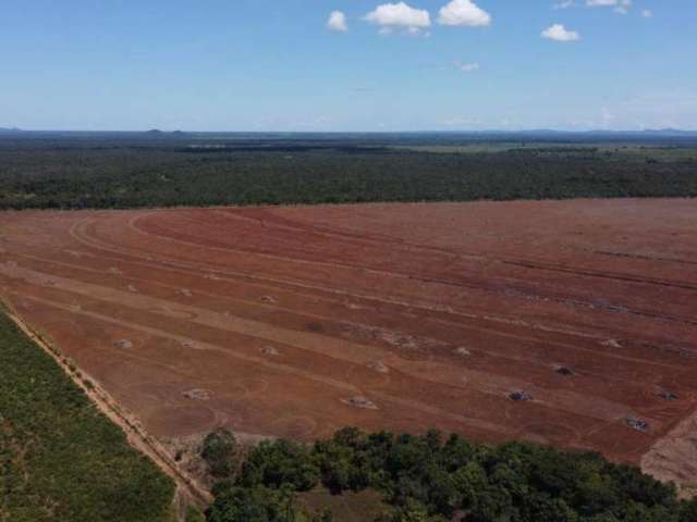 Fazenda para Venda em Peixe, ÁREA RURAL