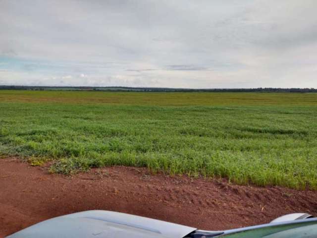 Fazenda para Venda em Santa Rita do Tocantins, ÁREA RURAL