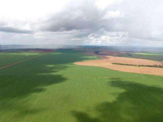 Fazenda para Venda em Primavera do Leste, ÁREA RURAL