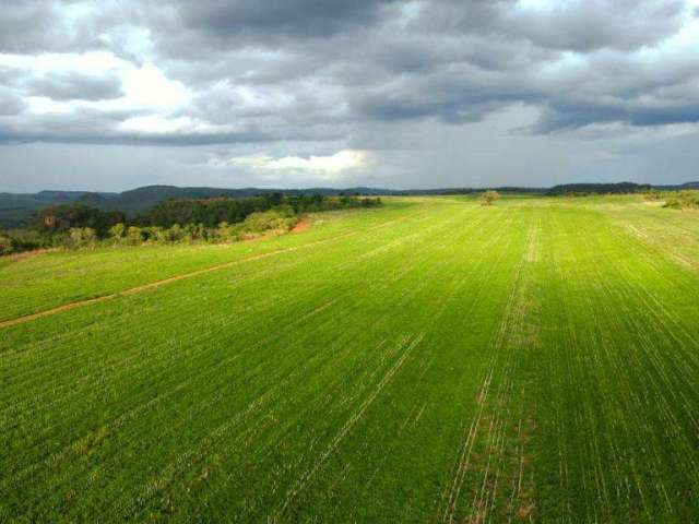 Fazenda para Venda em Wanderlândia, ÁREA RURAL