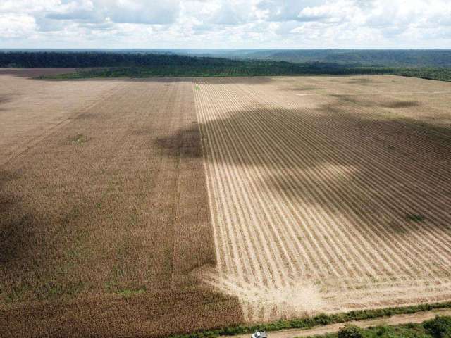 Fazenda para Venda em Ulianópolis, ÁREA RURAL