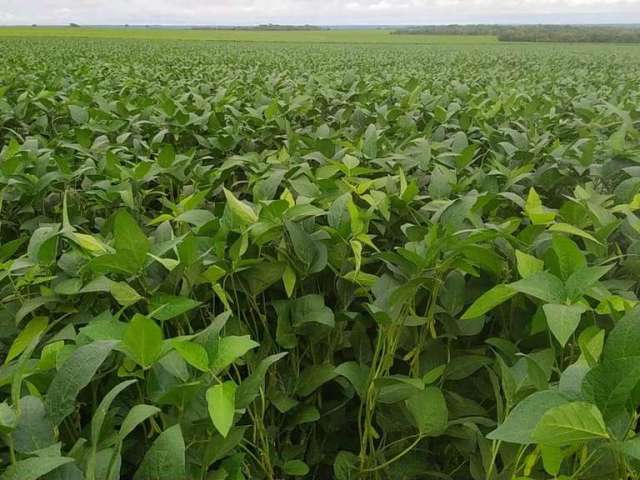 Fazenda para Venda em Guaraí, ÁREA RURAL