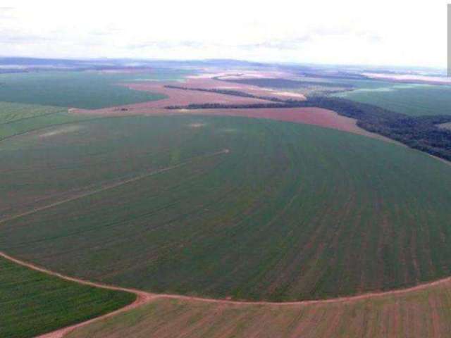 Fazenda para Venda em Primavera do Leste, ÁREA RURAL