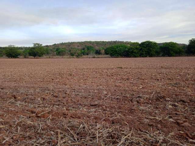 Fazenda para Venda em Santa Maria do Tocantins, ÁREA RURAL