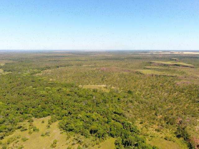 Fazenda para Venda em Lizarda, ÁREA RURAL