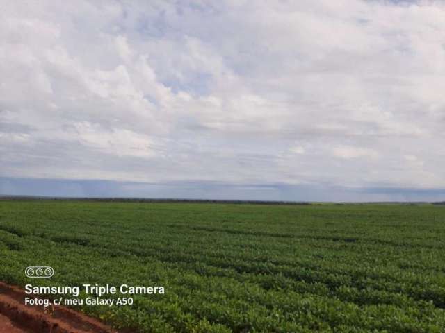 Fazenda para Venda em Pedro Afonso, ÁREA RURAL