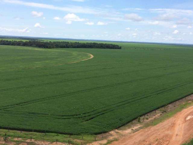 Fazenda para Venda em Colinas do Tocantins, ÁREA RURAL