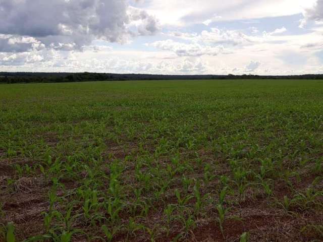 Fazenda para Venda em Santa Maria do Tocantins, ÁREA RURAL