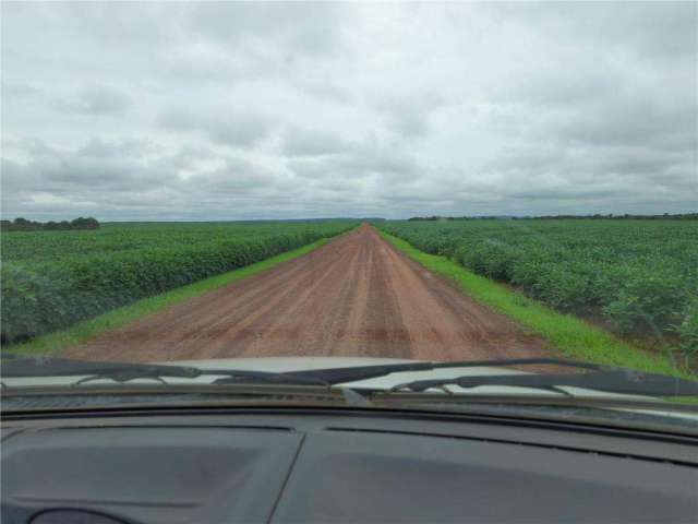 Fazenda para Venda em Santa Maria do Tocantins, ÁREA RURAL