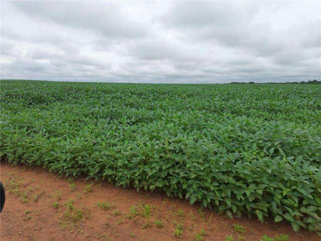 Fazenda para Venda em Santa Maria do Tocantins, ÁREA RURAL