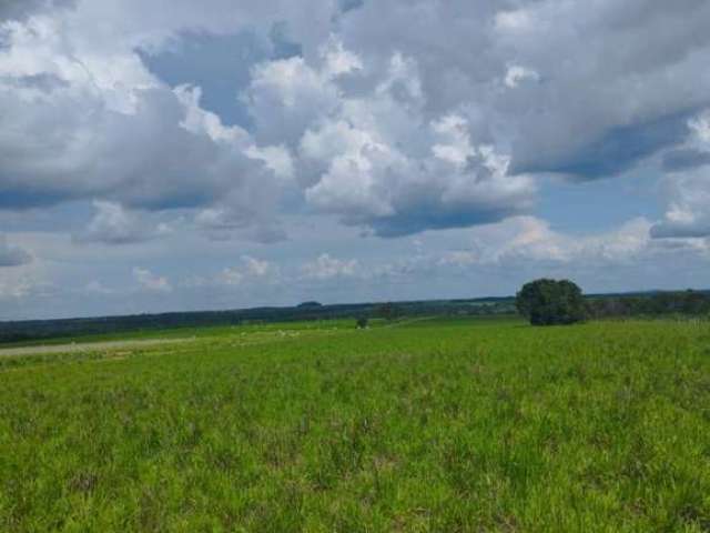 Fazenda para Venda em Santa Maria do Tocantins, ÁREA RURAL