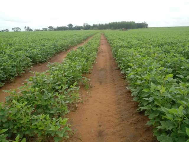 Fazenda para Venda em Pedro Afonso, ÁREA RURAL