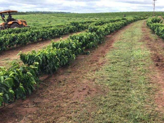 Fazenda para Venda em Garça, ÁREA RURAL