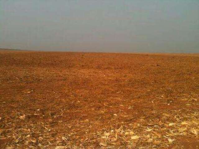 Fazenda para Venda em Xinguara, ÁREA RURAL