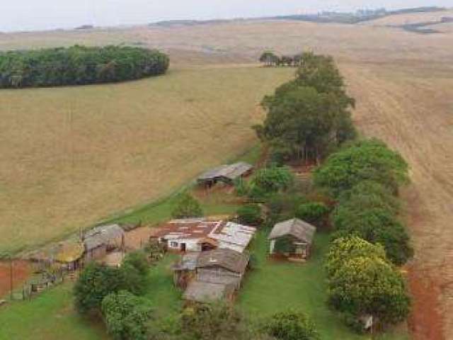 Área Rural para Venda em Carazinho, ÁREA RURAL