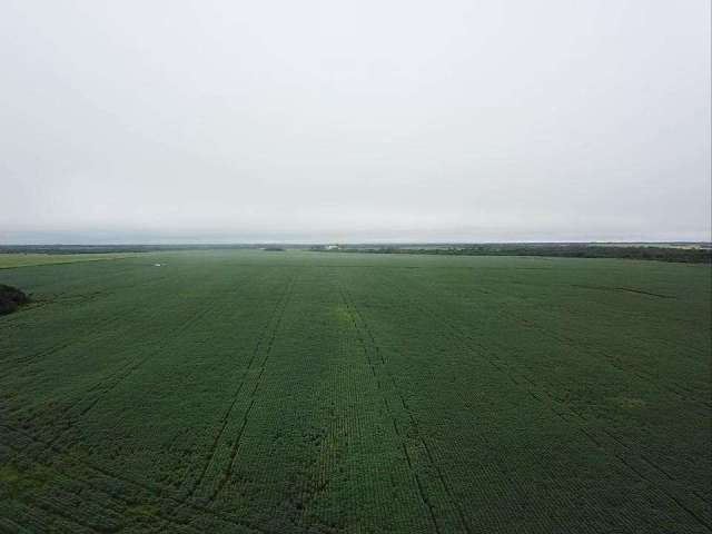 Fazenda para Venda em Redenção, ÁREA RURAL