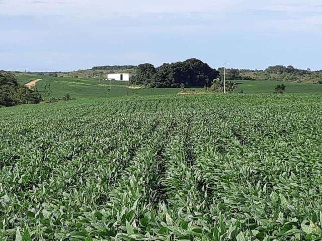 Área Rural para Venda em Peixe, ÁREA RURAL