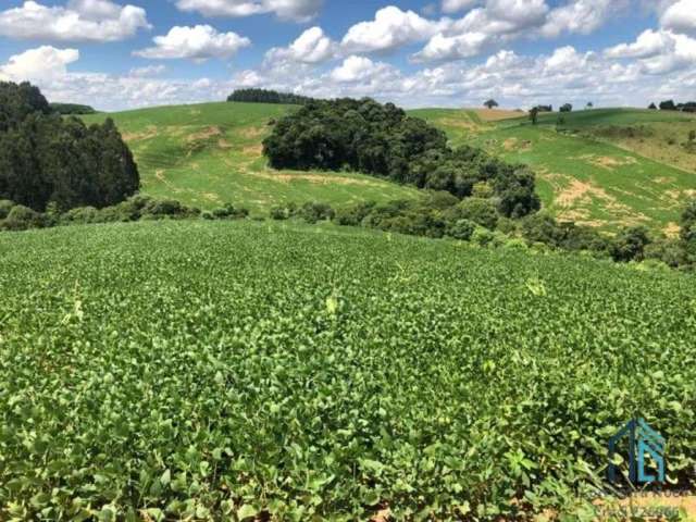 Área a venda terreno Rural para plantio e chácara na Lapa Paraná