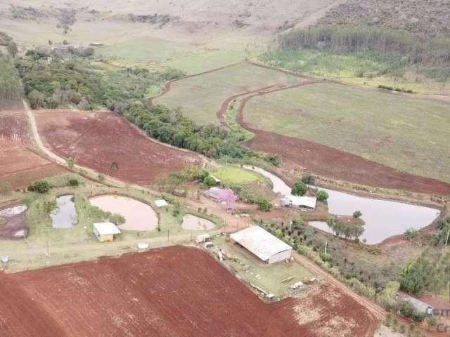 Sítio a venda com 12.29 alqueires, 15 km do centro de Campo Mourão Paraná PR