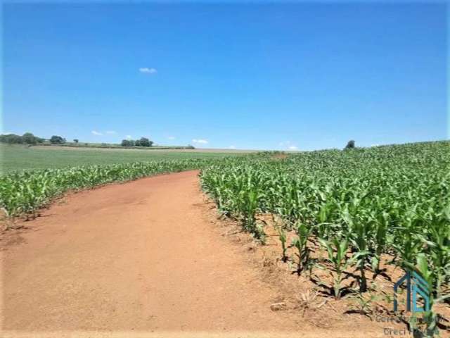 Sítio com 36 Alqueires, na Barranca do Rio Ivaí, localizado a 8 km da rodovia que liga engenheiro Beltrão a Maringá PR