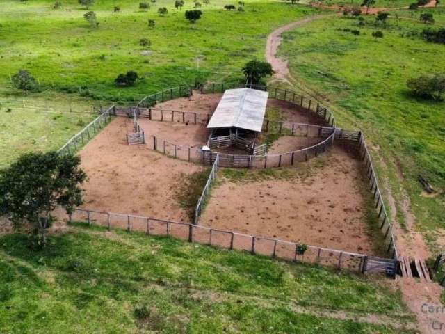 Fazenda com 168 alqueires goianos - 813 Hectares; - Município de Cocalzinho de Goiás GO