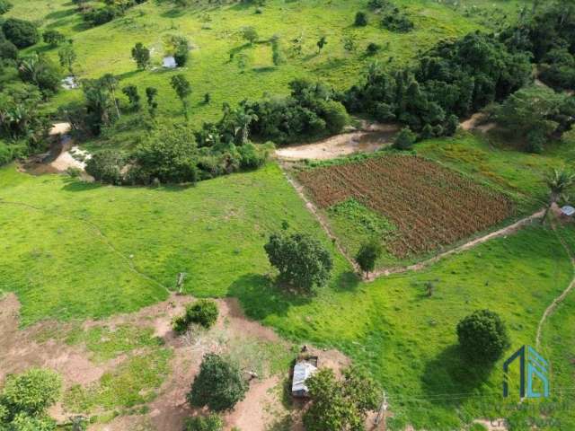 Fazenda localizada em Minaçu - GO a 70km da cidade de Goiânia - GO, com fácil acesso de carro.