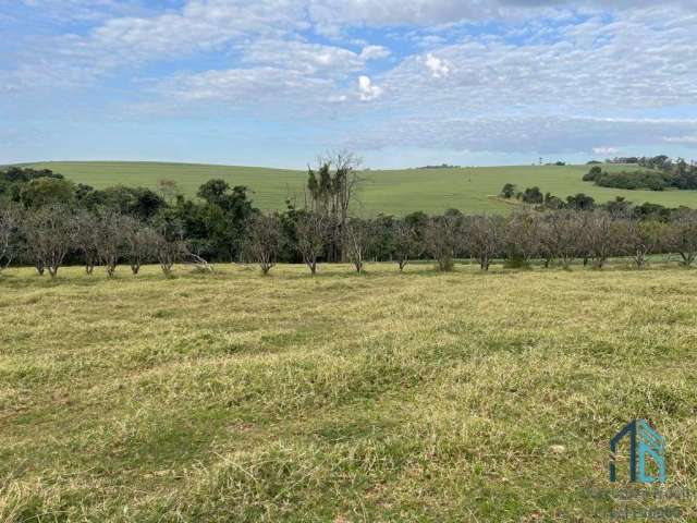 Chácara, Haras alto padrão, para pessoas exigentes, Mansão padrão, casa em Cambé Rolândia PR