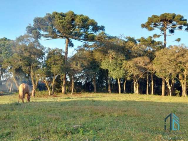 (Estuda permuta) Terreno/Área a venda, em São José dos Pinhais Pr