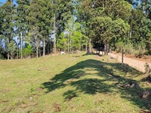 Chácara a venda 12.1 hectares, 02 casas e barracão, na água amarela em Chapecó - SC