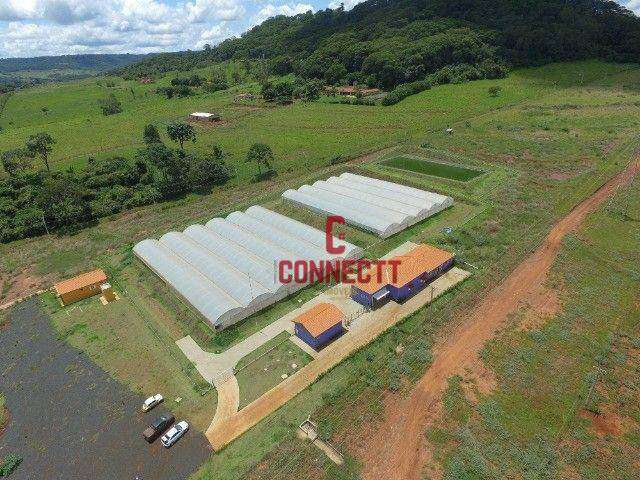 Fazenda à venda, 135000 m² por R$ 2.820.000,00 - Zona Rural - Ribeirão Preto/SP