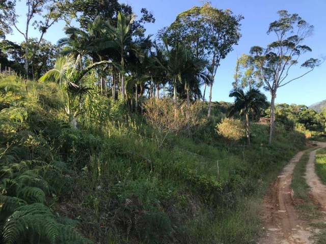 Chácara para Venda em Massaranduba, Ribeiro Gustavo