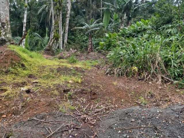 Chácara para Venda em Guaramirim, Amizade